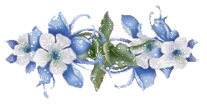 Цветы Украшение для текстов - бело-голубые цветы смайлы