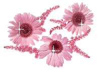 Цветы Переливы розовых цветов смайлы