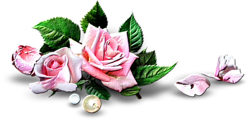 Цветы Украшение для текстов из розовых роз смайлы