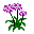 Цветы Лютики смайлы