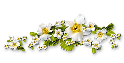 Цветы Украшение для текстов - весенние цветы смайлы