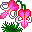 Цветы Лилии розовые смайлы