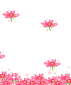 Цветы Полет розовых цветов смайлы